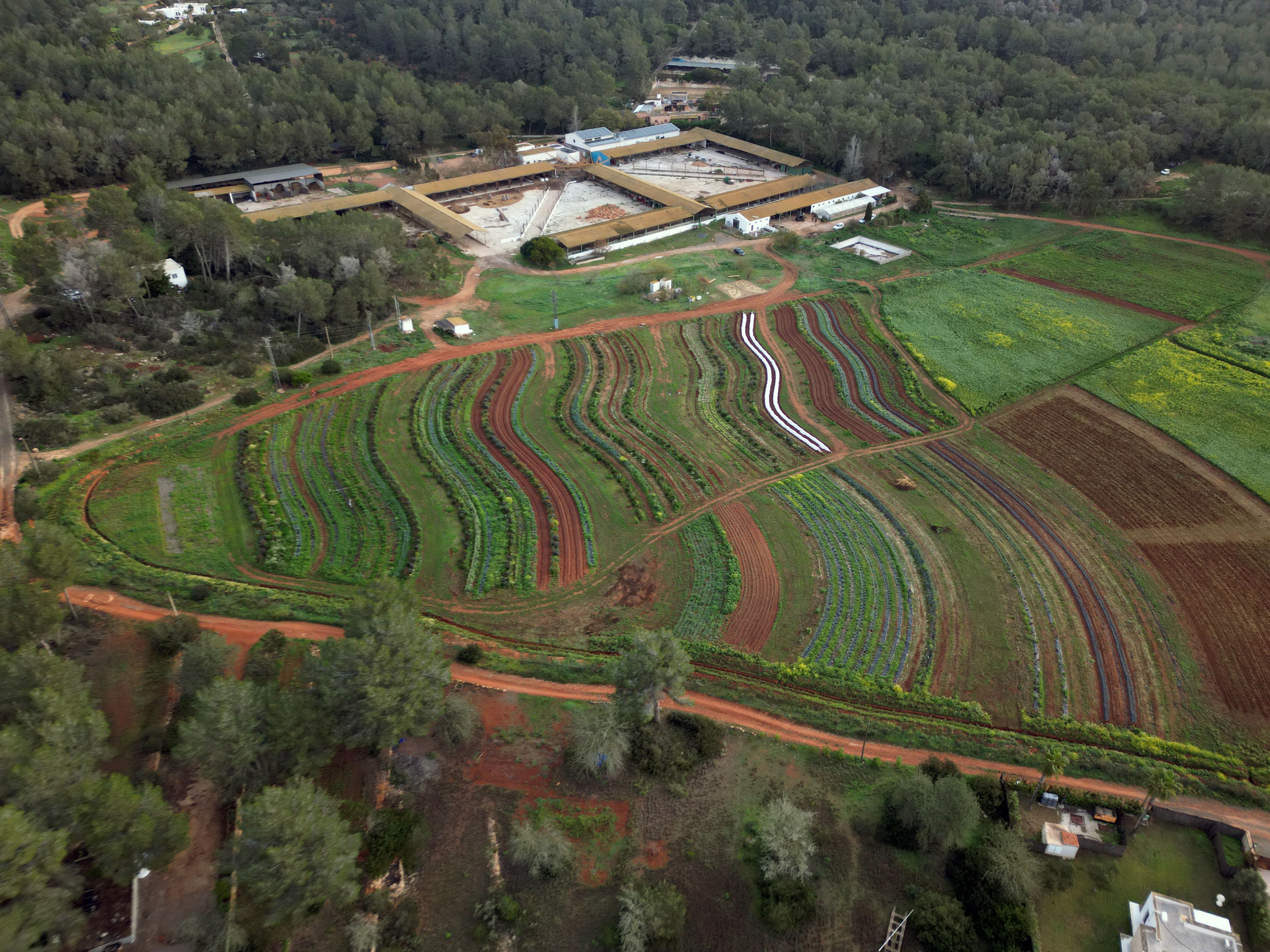 Drone_farm_2025 (1).JPG