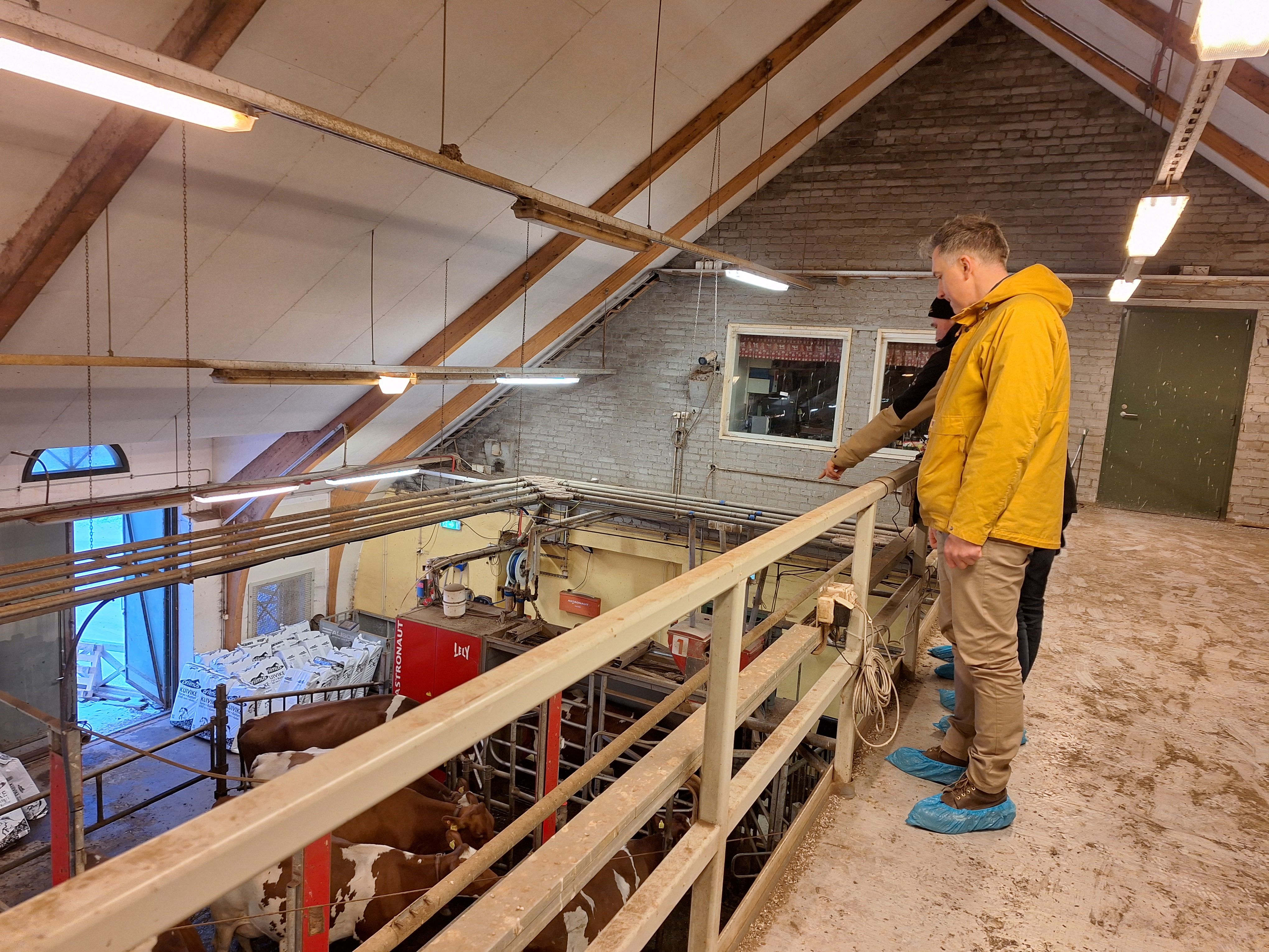 Lubko in the barn.jpg